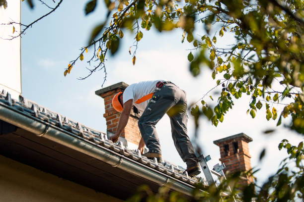 Best Commercial Roofing Services  in Tuskegee, AL