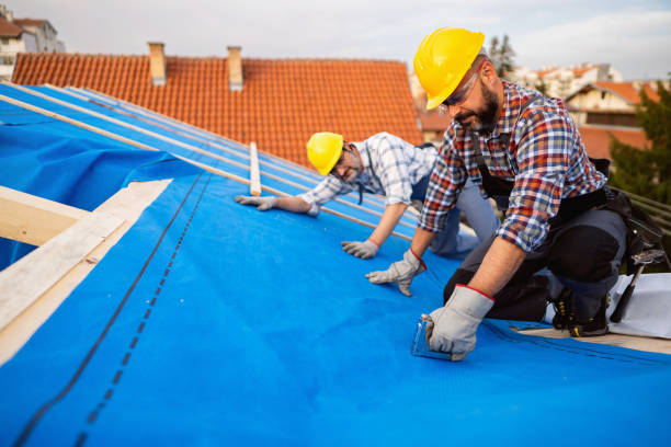 Best Roof Insulation Installation  in Tuskegee, AL