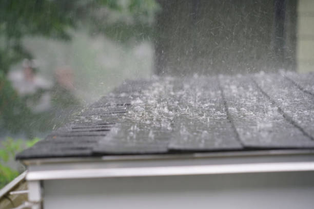 Best Roof Installation  in Tuskegee, AL