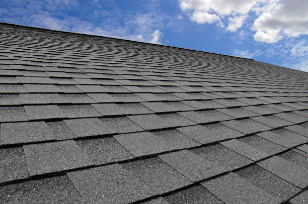Roof Coating Services in Tuskegee, AL
