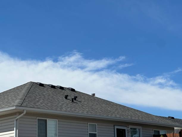 Best Solar Panel Roofing Installation  in Tuskegee, AL
